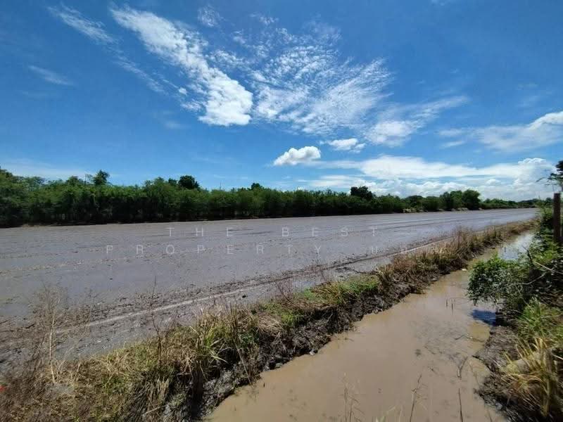 ที่ดินหนองเสือ ปทุมธานี, Pathum Thani, Bung Ba, Nong Sua, Pathum Thani, , 1,600 sqm, Land For Sale, by The Best Property บอส, 500516480 - DDproperty.com