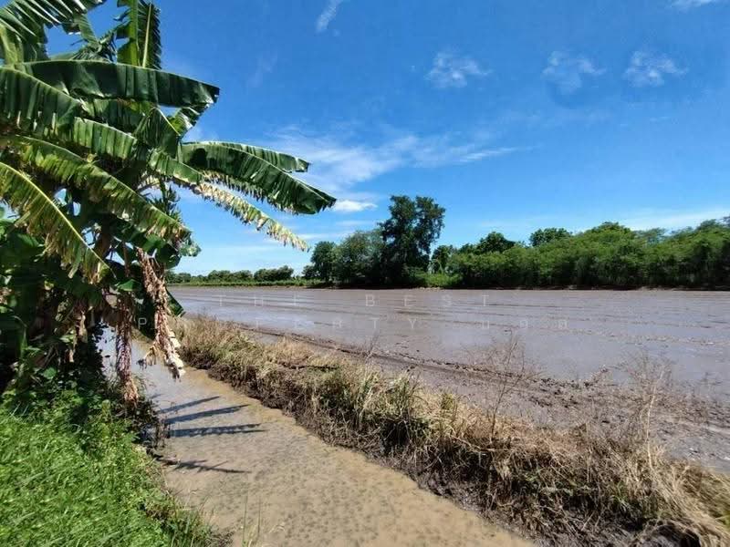 ที่ดินหนองเสือ ปทุมธานี, ปทุมธานี, บึงบา, หนองเสือ, ปทุมธานี, 1,600 ตร.ม., ที่ดิน ขาย, โดย The Best Property บอส, 500516480 - DDproperty.com