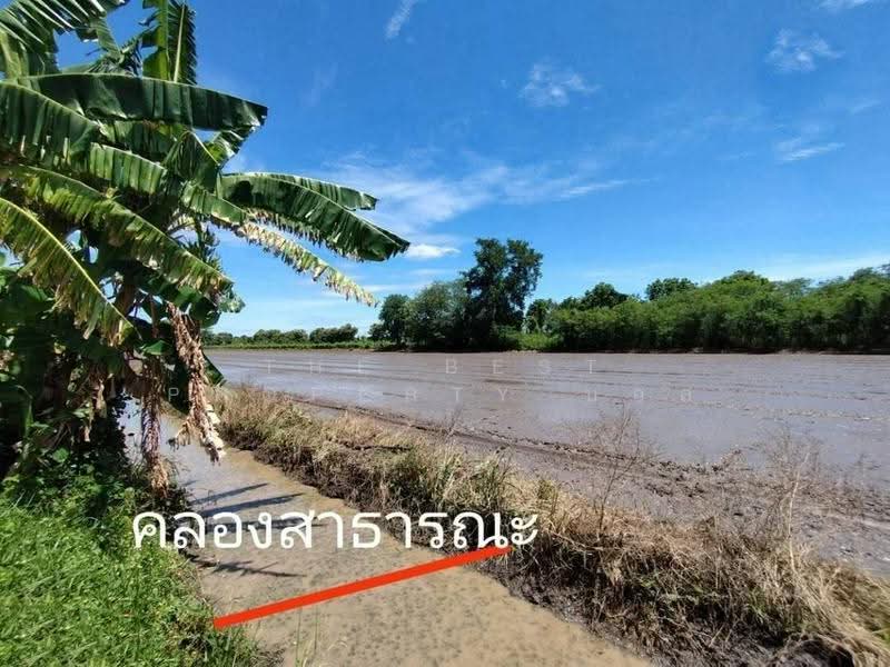 ที่ดินหนองเสือ ปทุมธานี, Pathum Thani, Bung Ba, Nong Sua, Pathum Thani, , 1,600 sqm, Land For Sale, by The Best Property บอส, 500516480 - DDproperty.com