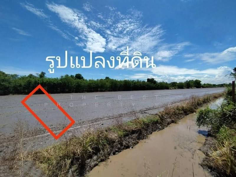 ที่ดินหนองเสือ ปทุมธานี, Pathum Thani, Bung Ba, Nong Sua, Pathum Thani, , 1,600 sqm, Land For Sale, by The Best Property บอส, 500516480 - DDproperty.com