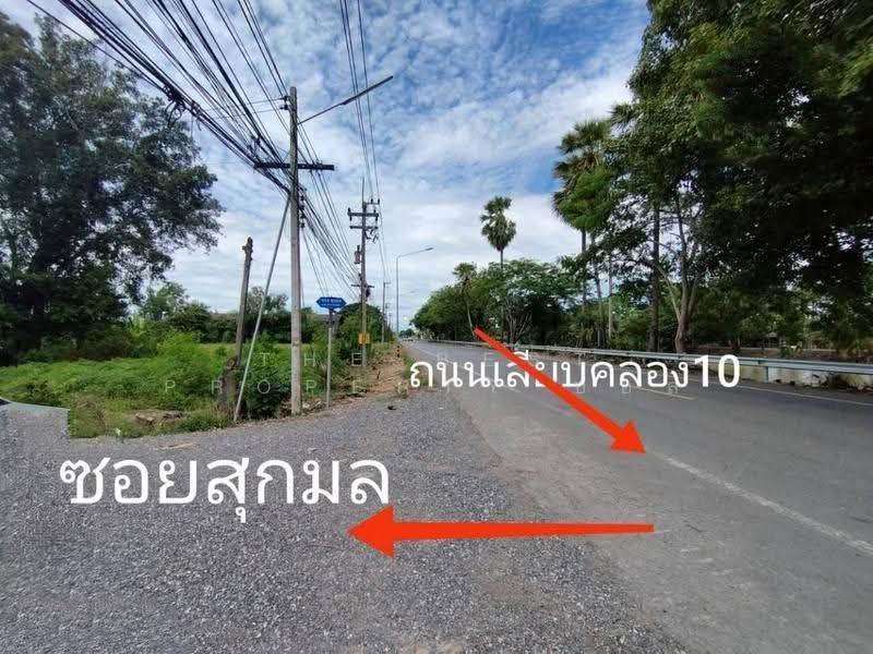 ที่ดินหนองเสือ ปทุมธานี, Pathum Thani, Bung Ba, Nong Sua, Pathum Thani, , 1,600 sqm, Land For Sale, by The Best Property บอส, 500516480 - DDproperty.com