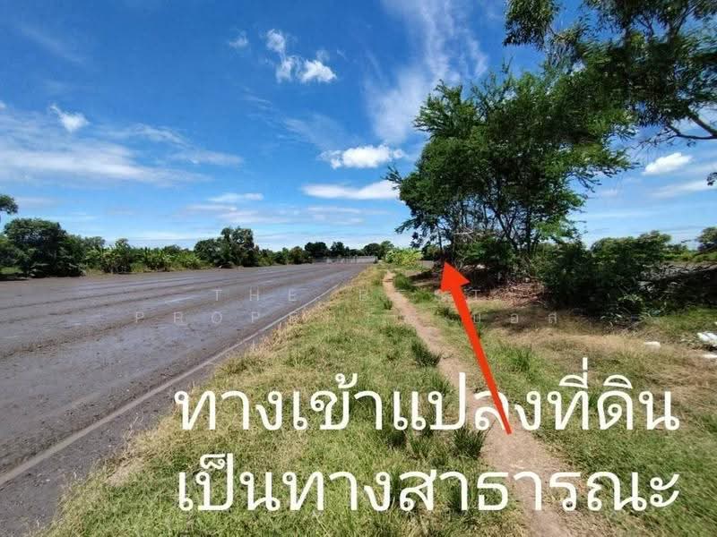 ที่ดินหนองเสือ ปทุมธานี, Pathum Thani, Bung Ba, Nong Sua, Pathum Thani, , 1,600 sqm, Land For Sale, by The Best Property บอส, 500516480 - DDproperty.com