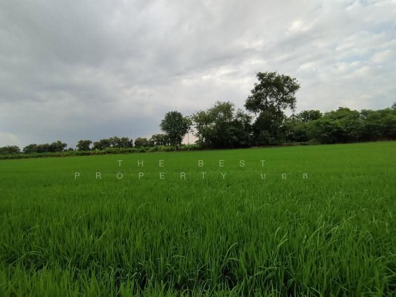 ที่ดินหนองเสือ ปทุมธานี, Pathum Thani, Bung Ba, Nong Sua, Pathum Thani, , 1,600 sqm, Land For Sale, by The Best Property บอส, 500516484 - DDproperty.com