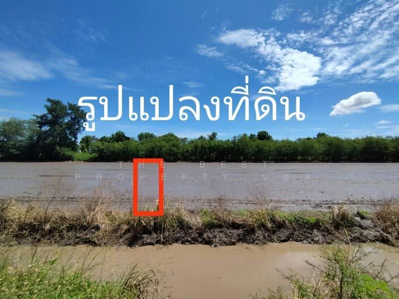ที่ดินหนองเสือ ปทุมธานี, ปทุมธานี, บึงบา, หนองเสือ, ปทุมธานี, 1,600 ตร.ม., ที่ดิน ขาย, โดย The Best Property บอส, 500516484 - DDproperty.com