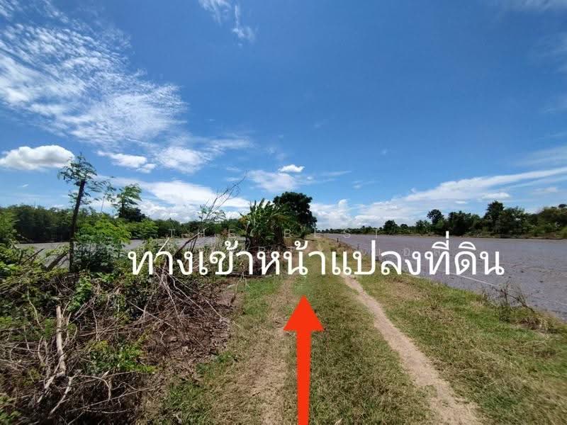 ที่ดินหนองเสือ ปทุมธานี, ปทุมธานี, บึงบา, หนองเสือ, ปทุมธานี, 1,600 ตร.ม., ที่ดิน ขาย, โดย The Best Property บอส, 500516484 - DDproperty.com