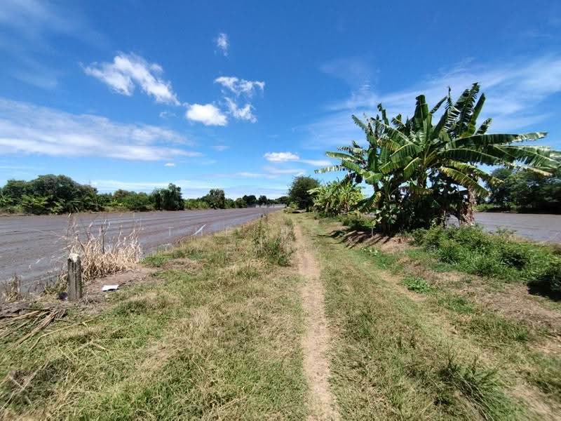 ที่ดินหนองเสือ ปทุมธานี, Pathum Thani, Bung Ba, Nong Sua, Pathum Thani, , 1,600 sqm, Land For Sale, by The Best Property บอส, 500516484 - DDproperty.com