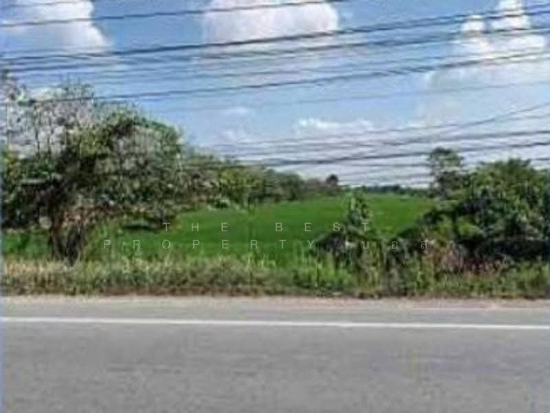 ที่ดินหนองเสือ ปทุมธานี, ปทุมธานี, บึงบา, หนองเสือ, ปทุมธานี, 1,600 ตร.ม., ที่ดิน ขาย, โดย The Best Property บอส, 500516484 - DDproperty.com