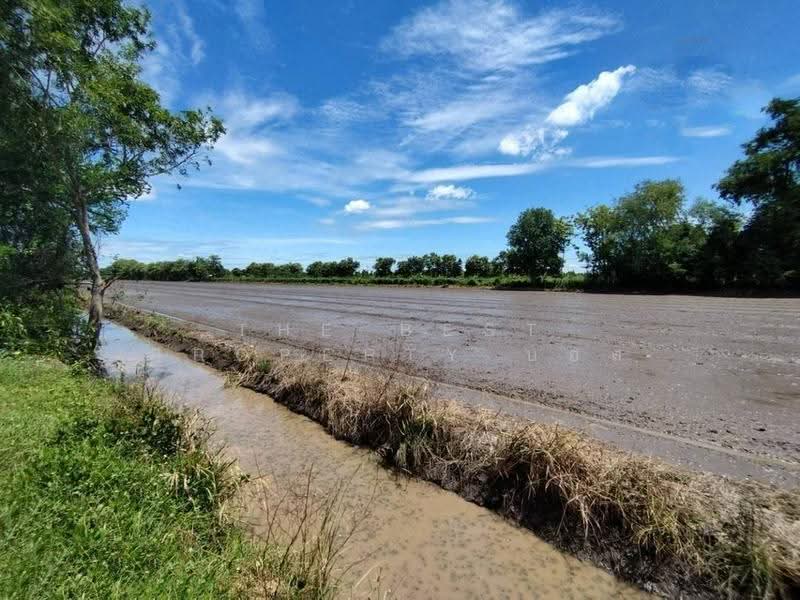 ที่ดินหนองเสือ ปทุมธานี, Pathum Thani, Bung Ba, Nong Sua, Pathum Thani, , 1,600 sqm, Land For Sale, by The Best Property บอส, 500516488 - DDproperty.com