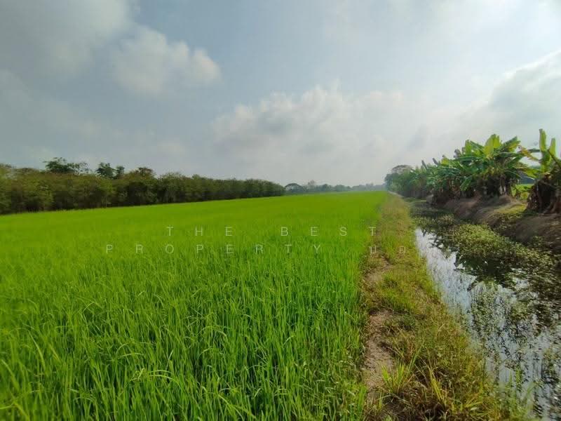 ที่ดินหนองเสือ ปทุมธานี, ปทุมธานี, บึงบา, หนองเสือ, ปทุมธานี, 1,600 ตร.ม., ที่ดิน ขาย, โดย The Best Property บอส, 500516488 - DDproperty.com