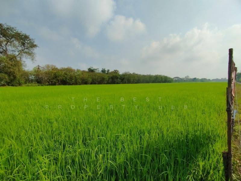 ที่ดินหนองเสือ ปทุมธานี, ปทุมธานี, บึงบา, หนองเสือ, ปทุมธานี, 1,600 ตร.ม., ที่ดิน ขาย, โดย The Best Property บอส, 500516488 - DDproperty.com