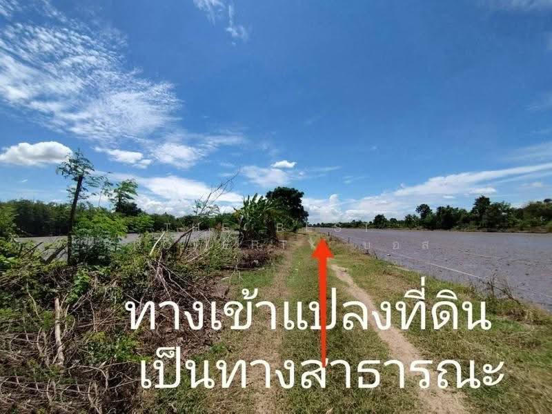 ที่ดินหนองเสือ ปทุมธานี, Pathum Thani, Bung Ba, Nong Sua, Pathum Thani, , 1,600 sqm, Land For Sale, by The Best Property บอส, 500516488 - DDproperty.com