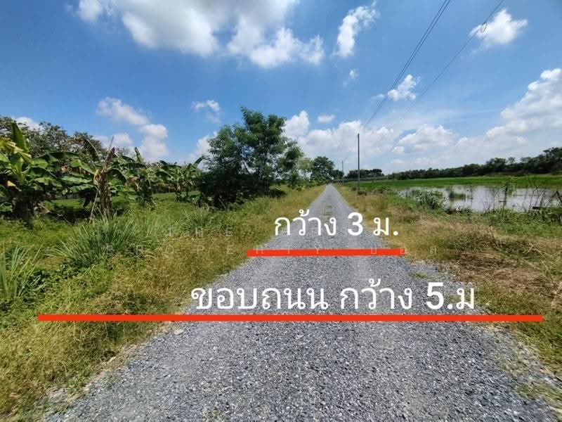 ที่ดินหนองเสือ ปทุมธานี, Pathum Thani, Bung Ba, Nong Sua, Pathum Thani, , 1,600 sqm, Land For Sale, by The Best Property บอส, 500516488 - DDproperty.com