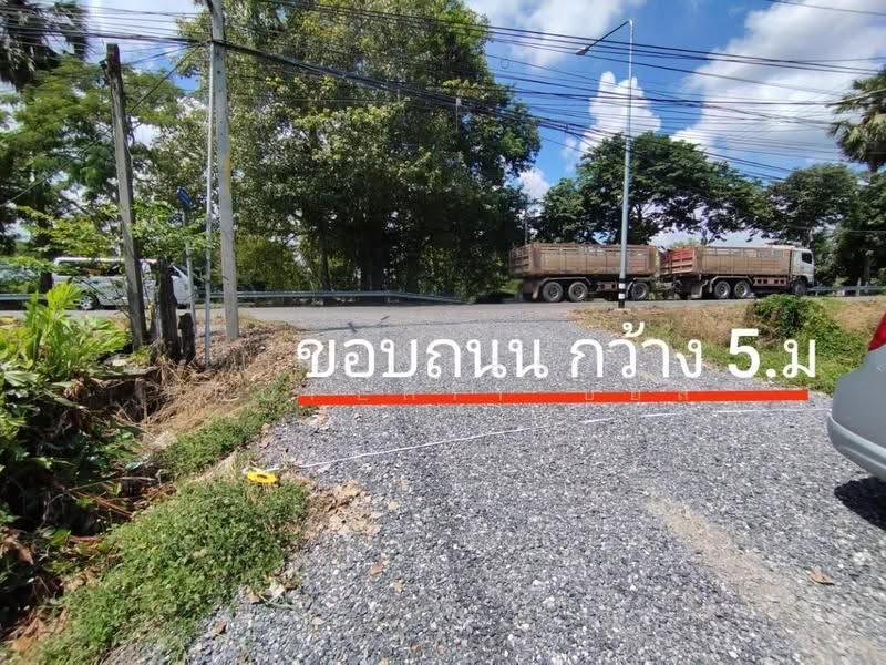 ที่ดินหนองเสือ ปทุมธานี, Pathum Thani, Bung Ba, Nong Sua, Pathum Thani, , 1,600 sqm, Land For Sale, by The Best Property บอส, 500516488 - DDproperty.com