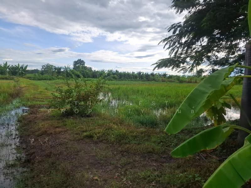 ที่ดินเวียงเชียงรุ้ง เชียงราย, Chiang Rai, Thung Ko, Wieng Chiang Rung, Chiang Rai, , 29,208 sqm, Land For Sale, by The Best Property ไนล์, 500516491 - DDproperty.com