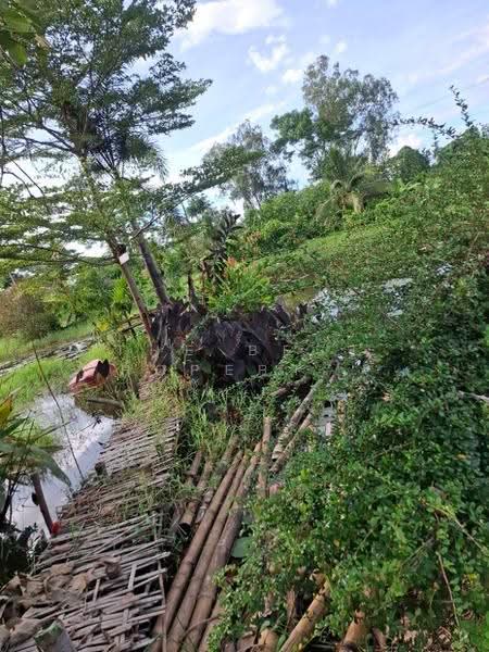 ที่ดินเวียงเชียงรุ้ง เชียงราย, Chiang Rai, Thung Ko, Wieng Chiang Rung, Chiang Rai, , 29,208 sqm, Land For Sale, by The Best Property ไนล์, 500516491 - DDproperty.com
