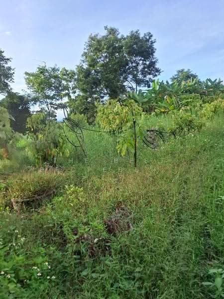 ที่ดินเวียงเชียงรุ้ง เชียงราย, Chiang Rai, Thung Ko, Wieng Chiang Rung, Chiang Rai, , 29,208 sqm, Land For Sale, by The Best Property ไนล์, 500516491 - DDproperty.com