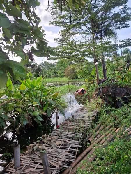 ที่ดินเวียงเชียงรุ้ง เชียงราย, Chiang Rai, Thung Ko, Wieng Chiang Rung, Chiang Rai, , 29,208 sqm, Land For Sale, by The Best Property ไนล์, 500516491 - DDproperty.com
