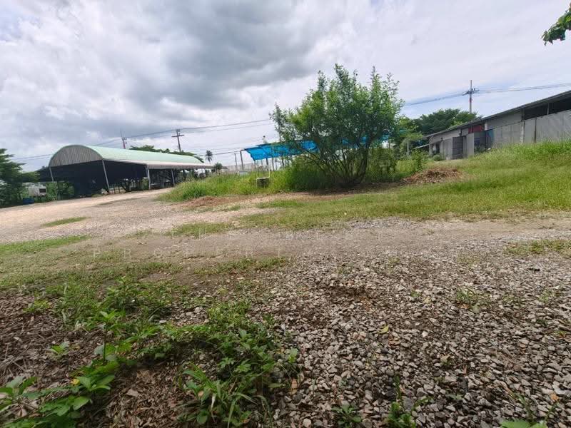 ที่ดินบางคล้า ฉะเชิงเทรา, Chachoengsao, Kon Kaeo, Khlong Khuan, Chachoengsao, , 10,008 sqm, Land For Sale, by The Best Property ซายน์, 500516500 - DDproperty.com