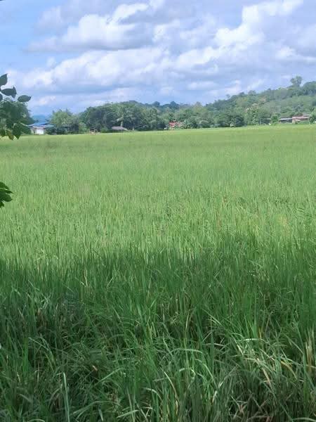 ที่ดินเวียงเชียงรุ้ง เชียงราย, Chiang Rai, Dong Mahawan, Wieng Chiang Rung, Chiang Rai, , 32,252 sqm, Land For Sale, by The Best Property ไนล์, 500516506 - DDproperty.com
