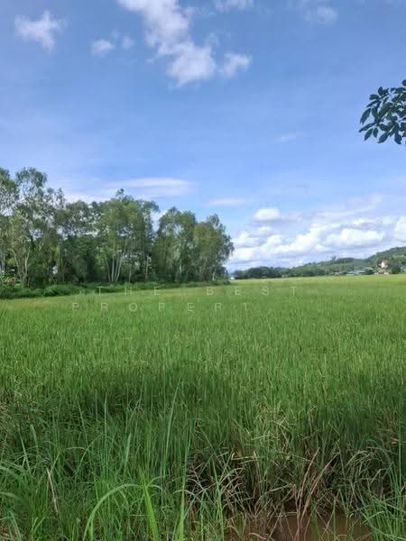 ที่ดินเวียงเชียงรุ้ง เชียงราย, Chiang Rai, Dong Mahawan, Wieng Chiang Rung, Chiang Rai, , 32,252 sqm, Land For Sale, by The Best Property ไนล์, 500516506 - DDproperty.com