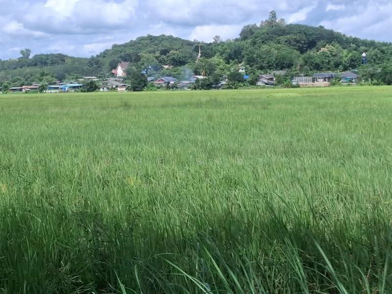ที่ดินเวียงเชียงรุ้ง เชียงราย, Chiang Rai, Dong Mahawan, Wieng Chiang Rung, Chiang Rai, , 32,252 sqm, Land For Sale, by The Best Property ไนล์, 500516506 - DDproperty.com