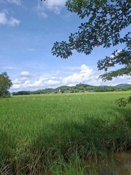 ที่ดินเวียงเชียงรุ้ง เชียงราย, Chiang Rai, Dong Mahawan, Wieng Chiang Rung, Chiang Rai, , 32,252 sqm, Land For Sale, by The Best Property ไนล์, 500516506 - DDproperty.com