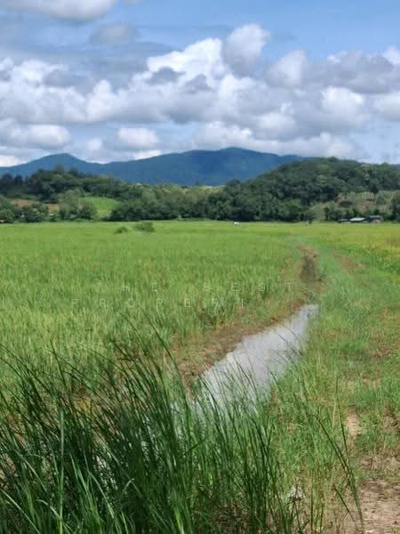 ที่ดินเวียงเชียงรุ้ง เชียงราย, Chiang Rai, Dong Mahawan, Wieng Chiang Rung, Chiang Rai, , 32,252 sqm, Land For Sale, by The Best Property ไนล์, 500516506 - DDproperty.com