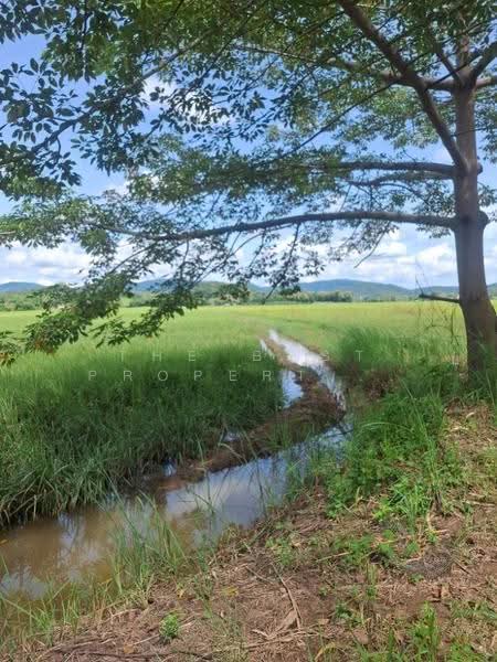 ที่ดินเวียงเชียงรุ้ง เชียงราย, Chiang Rai, Dong Mahawan, Wieng Chiang Rung, Chiang Rai, , 32,252 sqm, Land For Sale, by The Best Property ไนล์, 500516506 - DDproperty.com