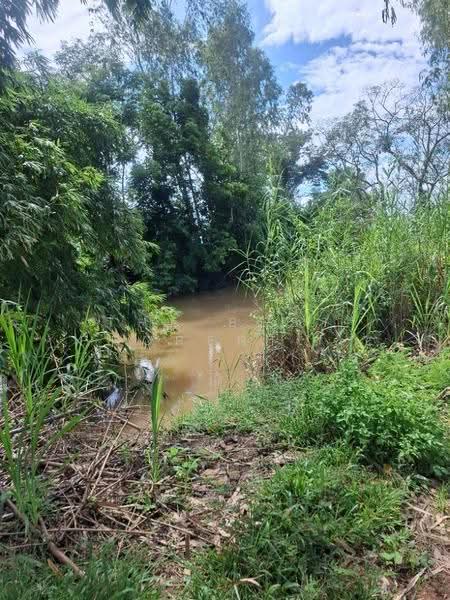 ที่ดินเวียงเชียงรุ้ง เชียงราย, Chiang Rai, Dong Mahawan, Wieng Chiang Rung, Chiang Rai, , 32,252 sqm, Land For Sale, by The Best Property ไนล์, 500516506 - DDproperty.com