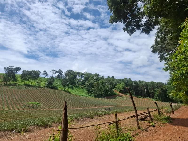 ที่ดินเวียงเชียงรุ้ง เชียงราย, Chiang Rai, Thung Ko, Wieng Chiang Rung, Chiang Rai, , 39,536 sqm, Land For Sale, by The Best Property ไนล์, 500516517 - DDproperty.com