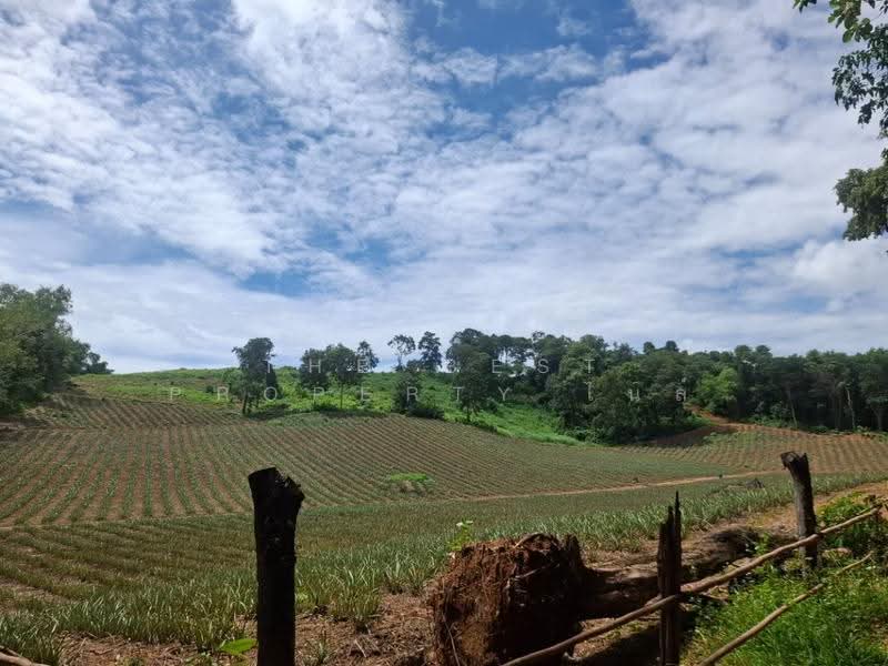 ที่ดินเวียงเชียงรุ้ง เชียงราย, Chiang Rai, Thung Ko, Wieng Chiang Rung, Chiang Rai, , 39,536 sqm, Land For Sale, by The Best Property ไนล์, 500516517 - DDproperty.com
