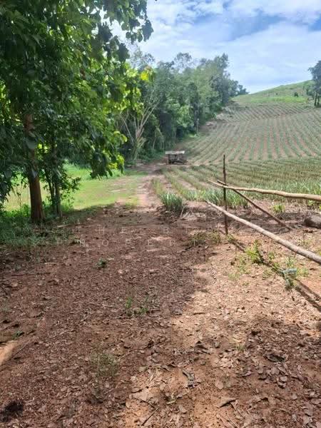 ที่ดินเวียงเชียงรุ้ง เชียงราย, Chiang Rai, Thung Ko, Wieng Chiang Rung, Chiang Rai, , 39,536 sqm, Land For Sale, by The Best Property ไนล์, 500516517 - DDproperty.com