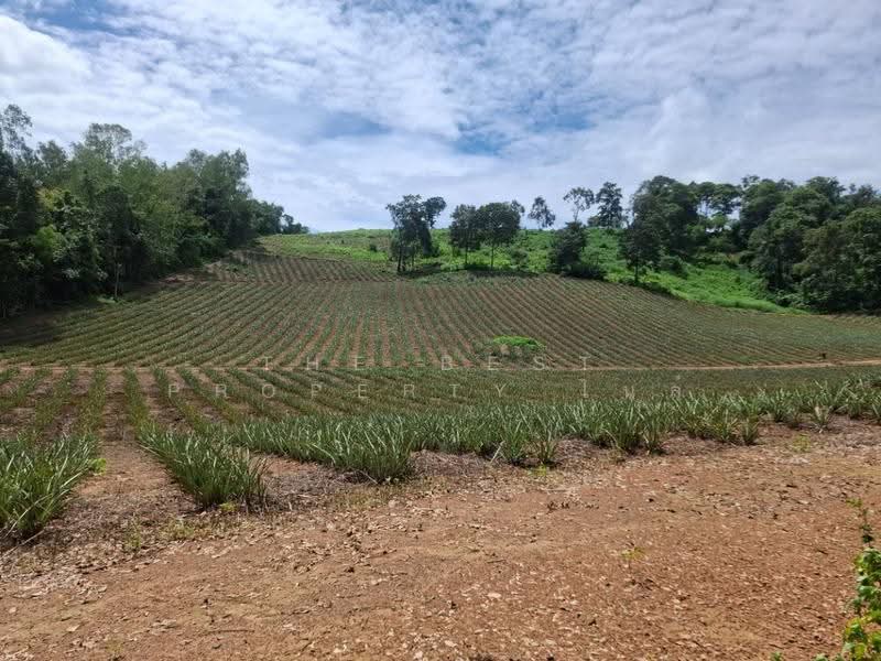 ที่ดินเวียงเชียงรุ้ง เชียงราย, Chiang Rai, Thung Ko, Wieng Chiang Rung, Chiang Rai, , 39,536 sqm, Land For Sale, by The Best Property ไนล์, 500516517 - DDproperty.com