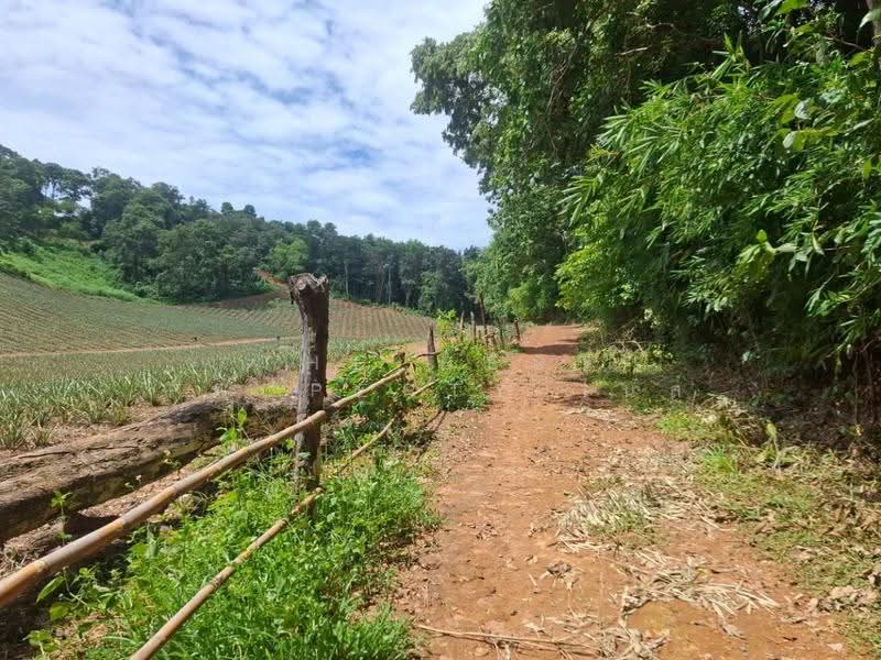 ที่ดินเวียงเชียงรุ้ง เชียงราย, Chiang Rai, Thung Ko, Wieng Chiang Rung, Chiang Rai, , 39,536 sqm, Land For Sale, by The Best Property ไนล์, 500516517 - DDproperty.com