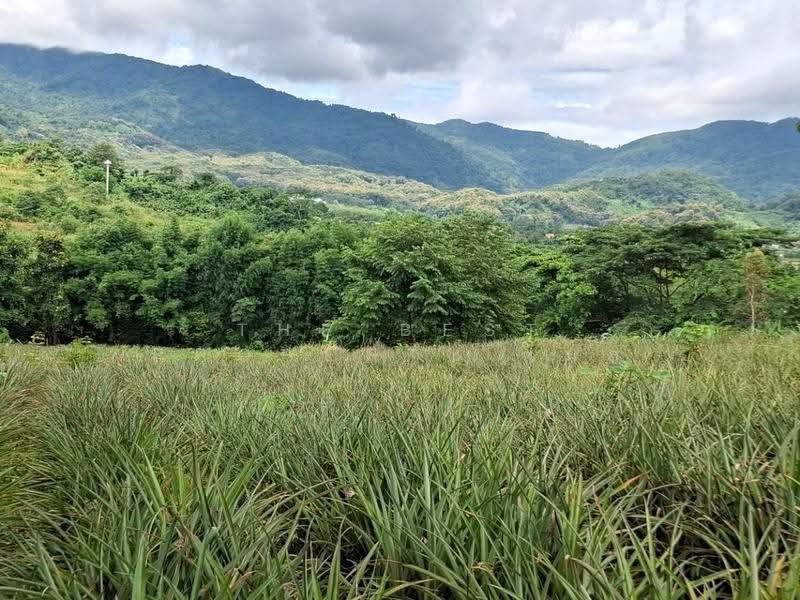 ที่ดินท่าสุด เชียงราย, เชียงราย, ท่าสุด, เมืองเชียงราย, เชียงราย, 8,000 ตร.ม., ที่ดิน ขาย, โดย The Best Property ไนล์, 500516520 - DDproperty.com