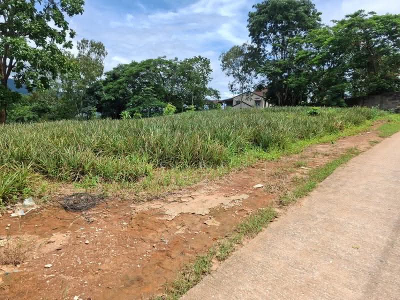 ที่ดินท่าสุด เชียงราย, Chiang Rai, Tha Sud, Muang Chiang Rai, Chiang Rai, , 8,000 sqm, Land For Sale, by The Best Property ไนล์, 500516520 - DDproperty.com