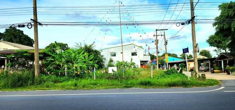 ไม่พบโครงการ, Pathum Thani, , Bung Ba, Nong Sua, Pathum Thani, , 480 sqm, Land For Sale, by Phanitchaya Yossala, 500516538 - DDproperty.com