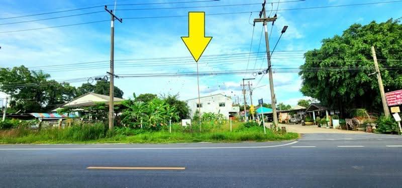 ไม่พบโครงการ, Pathum Thani, , Bung Ba, Nong Sua, Pathum Thani, , 480 sqm, Land For Sale, by Phanitchaya Yossala, 500516538 - DDproperty.com