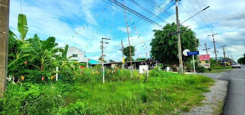 ไม่พบโครงการ, Pathum Thani, , Bung Ba, Nong Sua, Pathum Thani, , 480 sqm, Land For Sale, by Phanitchaya Yossala, 500516538 - DDproperty.com