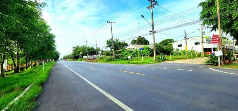 ไม่พบโครงการ, ปทุมธานี, , บึงบา, หนองเสือ, ปทุมธานี, 480 ตร.ม., ที่ดิน ขาย, โดย พณิชญา ยศสละ, 500516538 - DDproperty.com