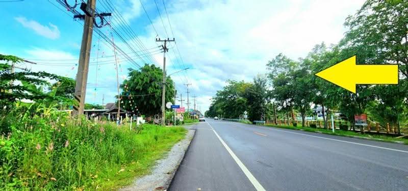 ไม่พบโครงการ, ปทุมธานี, , บึงบา, หนองเสือ, ปทุมธานี, 480 ตร.ม., ที่ดิน ขาย, โดย พณิชญา ยศสละ, 500516538 - DDproperty.com