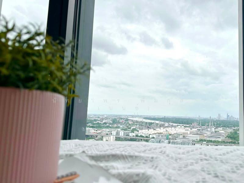 The Line Sukhumvit 101, Bangkok, 3009 Sukhumvit 101 Road, Bang Chak, Phra Khanong, Bangkok, 1 Bedroom, 28 sqm, Condo For Rent, by Nattayaporn Peumkul (Benz), 500516554 - DDproperty.com