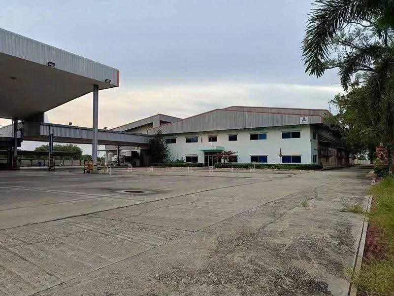 ขายโรงงานมาตรฐาน 14 ไร่กว่า พร้อมใบ รง4 หนองแซง สระบุรี, Saraburi, Nong Yao, Muang Saraburi, Saraburi, , 11,232 sqm, Warehouse/Factory For Sale, by Dusit Saengfa, 500516593 - DDproperty.com
