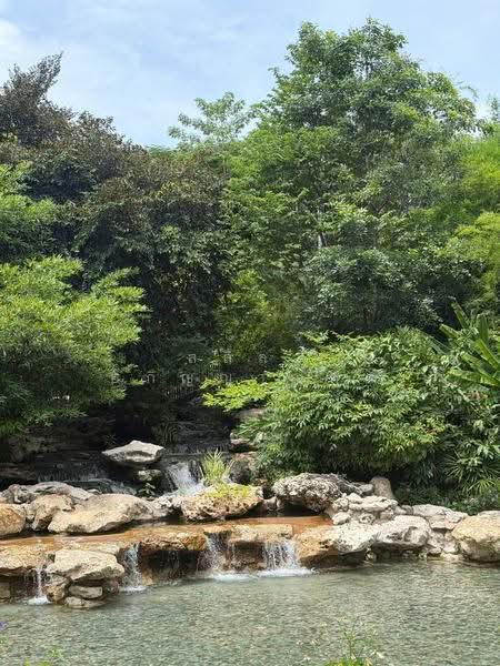 Whizdom The Forestias : วิสซ์ดอม เดอะ ฟอเรสเทียส์, สมุทรปราการ, ถนนเทพรัตน, บางแก้ว, บางพลี, สมุทรปราการ, 92 ตร.ม., คอนโด ให้เช่า, โดย สลิลา อภิญญาณกุล, 500516635 - DDproperty.com