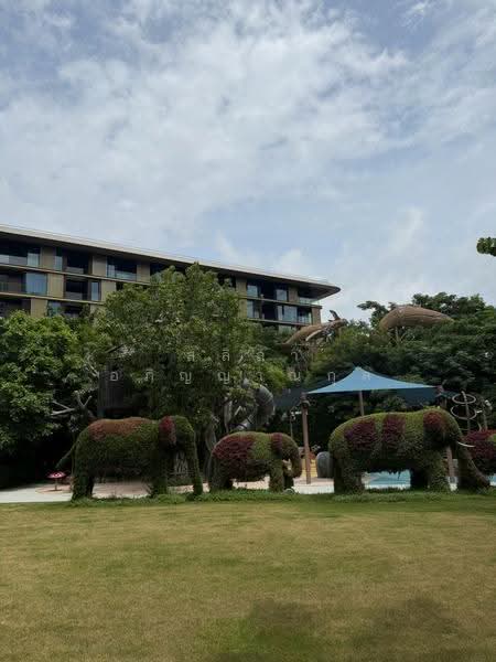 Whizdom The Forestias, Samut Prakan, Debaratana Road, Bang Kaeo, Bang Plee, Samut Prakan, 3 Bedrooms, 92 sqm, Condo For Rent, by สลิลา อภิญญาณกุล, 500516635 - DDproperty.com