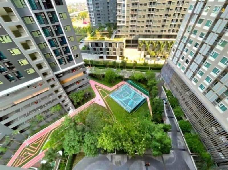 Aspire Erawan Prime, Samut Prakan, Sukhumvit Road, Pak Nam, Muang Samut Prakarn, Samut Prakan, 1 Bedroom, 35 sqm, Condo For Rent, by ณัฐพงศ์ สุนทรอรุณ, 500516687 - DDproperty.com