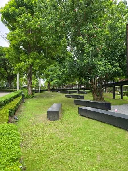 The City Pattanakarn, Bangkok, On Nut Road, Prawet, Bangkok, 4 Bedrooms, 340 sqm, Single Detached House For Sale, by kanthapoom pornngam, 500516713 - DDproperty.com