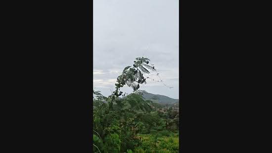 วิวทะเลบสงเสร่ - วิวเขาบางเสร่ ตำบลบางเสร่ อำเภอสัตหีบ จังหวัดชลบุรี, Chon Buri (Pattaya), Bang Sa-re, Sattahip, Chon Buri (Pattaya), , 111,192 sqm, Land For Sale, by Nichapa Phiachan, 500516802 - DDproperty.com