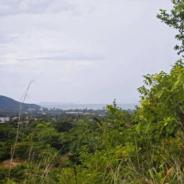 วิวทะเลบสงเสร่ - วิวเขาบางเสร่ ตำบลบางเสร่ อำเภอสัตหีบ จังหวัดชลบุรี, Chon Buri (Pattaya), Bang Sa-re, Sattahip, Chon Buri (Pattaya), , 111,192 sqm, Land For Sale, by Nichapa Phiachan, 500516802 - DDproperty.com