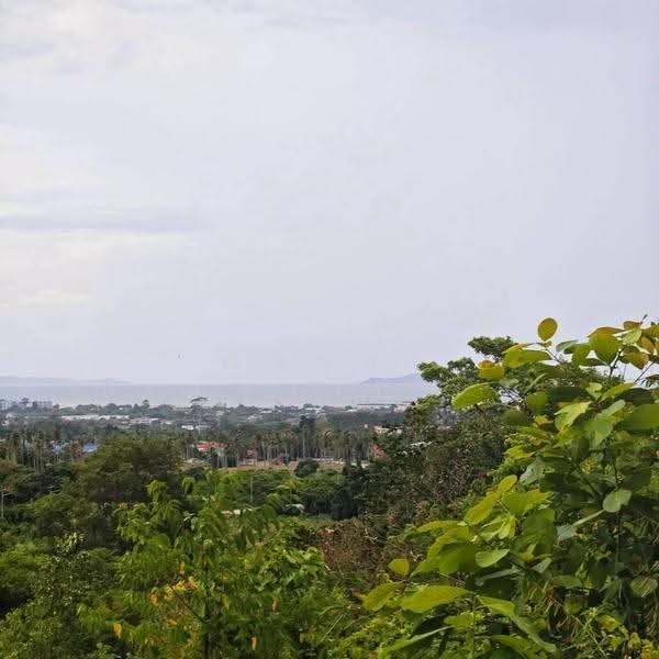 วิวทะเลบสงเสร่ - วิวเขาบางเสร่ ตำบลบางเสร่ อำเภอสัตหีบ จังหวัดชลบุรี, Chon Buri (Pattaya), Bang Sa-re, Sattahip, Chon Buri (Pattaya), , 111,192 sqm, Land For Sale, by Nichapa Phiachan, 500516802 - DDproperty.com